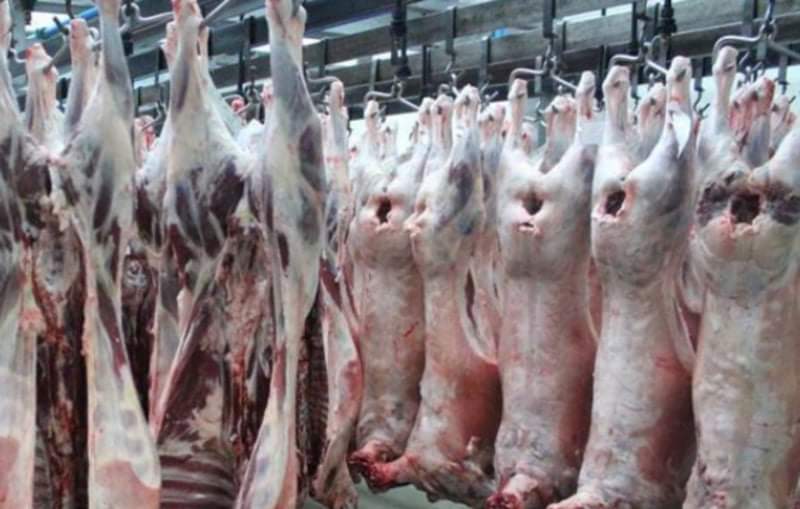 الحكومة: أهمية استقرار أسعار اللحوم مع قرب حلول رمضان