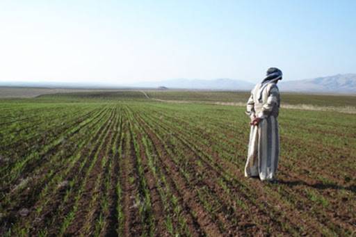 وزارة الزراعة تعلن عن فرصة استثمارية في قطاع الزراعة