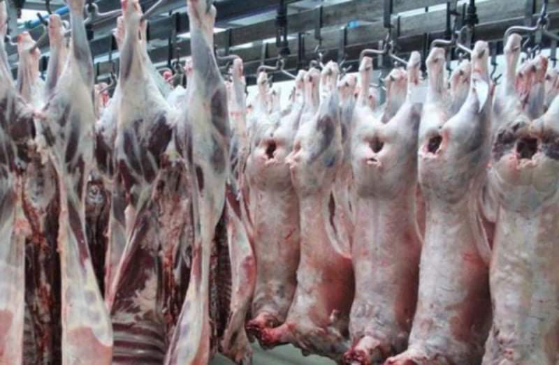 الزراعة تعتمد مسالخ جديدة في السودان