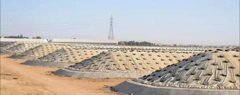 البرماوي الفيديو المتداول لوجود فئران وقوارض على القمح ليس في الاردن