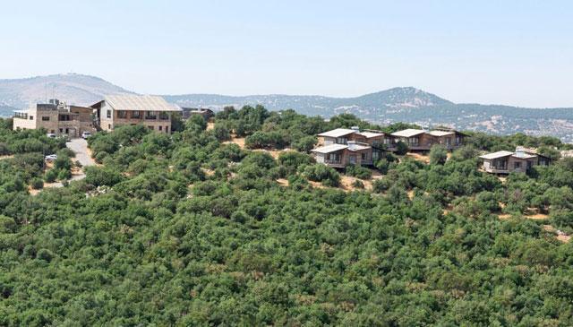 Ajloun Forest Reserve stays nearly empty during Ramadan — official