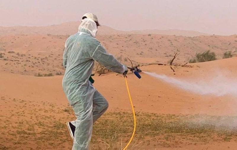 رش 400 دونم بالطفيلة للقضاء على الجراد