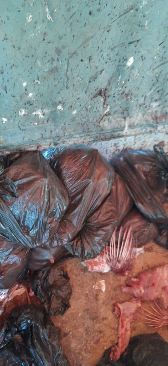 الغذاء والدواء: إتلاف 400 كغم من الدواجن المخالفة في بسطة  على الشارع العام