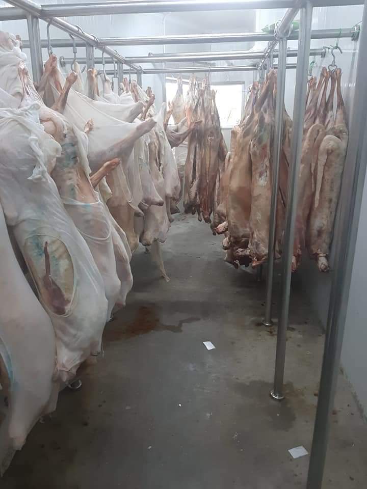 الرقابة الصحية في سلطة العقبة الخاصة تتلف سبعة اطنان من المواد الغذائية غير الصالحة للاستهلاك البشري