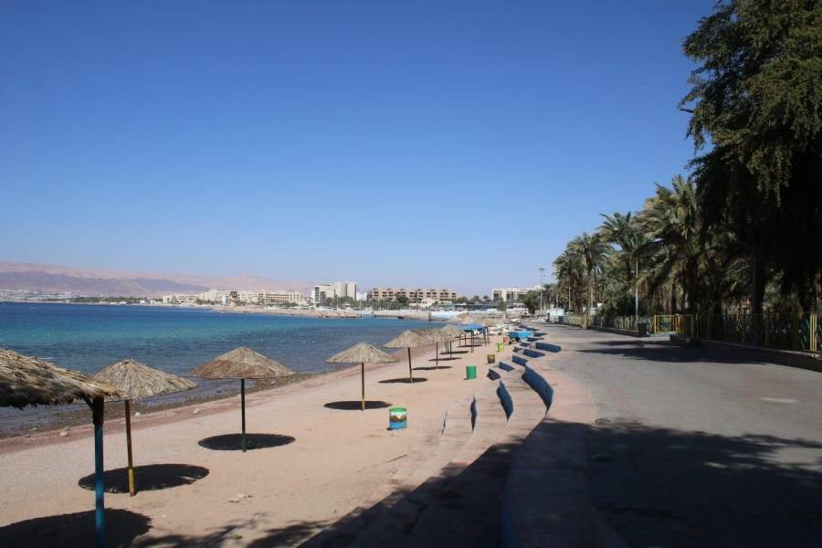 الفايز : بروتوكول للتعامل مع الوفد السياحي في العقبة