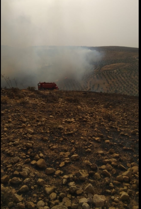 الدفاع المدني يخمد حريق بسيط ومحدود لإعشاب جافة في محافظة الزرقاء