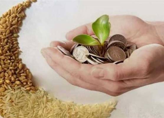 الافتاء تجيز دفع زكاة الأموال والفطر للأشقاء والشقيقات