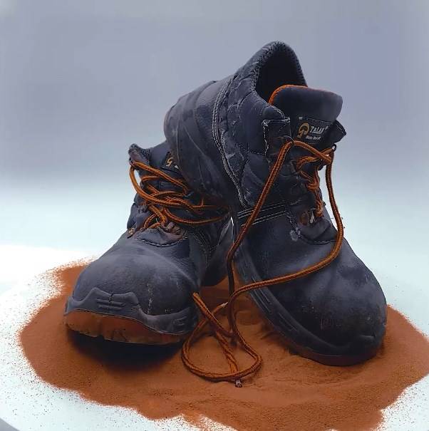 أردني يعرض حذاءه ورمل من المريخ بمزاد علني بمبلغ 355 ألف دولار