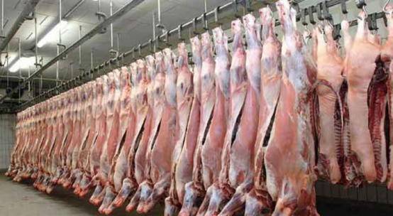 الأمانة تحدد دوام المسلخ والسوق المركزي بالعيد