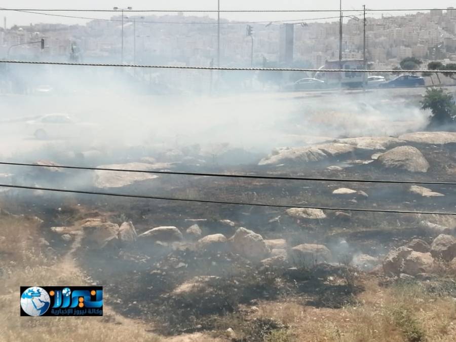 إخماد حريق أعشاب جافة في شفا بدران فيديو وصور