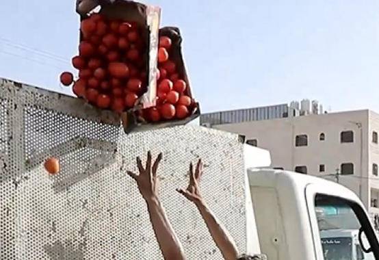 الشواربة يعيد هيكلة دائرة ضبط البيع العشوائي