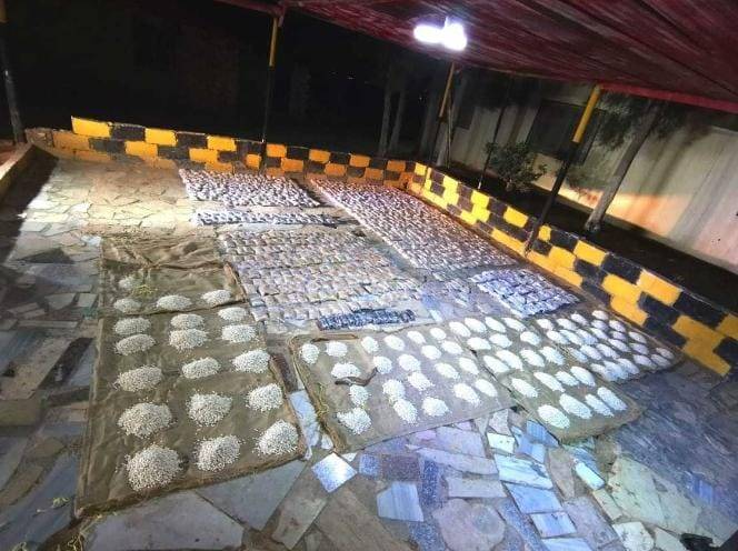 احباط عملية تسلل على الواجهة الشمالية للمملكة