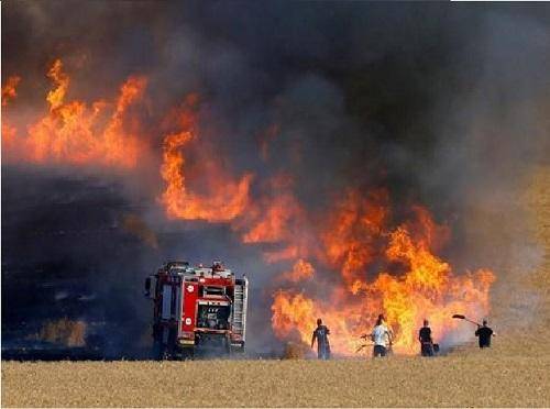 إخماد حريق 150 دونما في عجلون