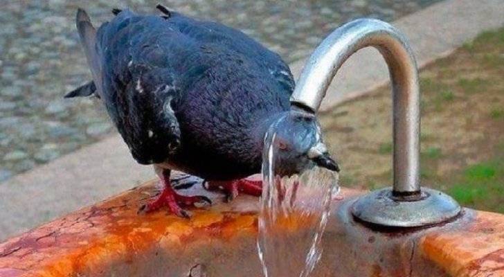 تراجع تأثير الكتلة الحارة