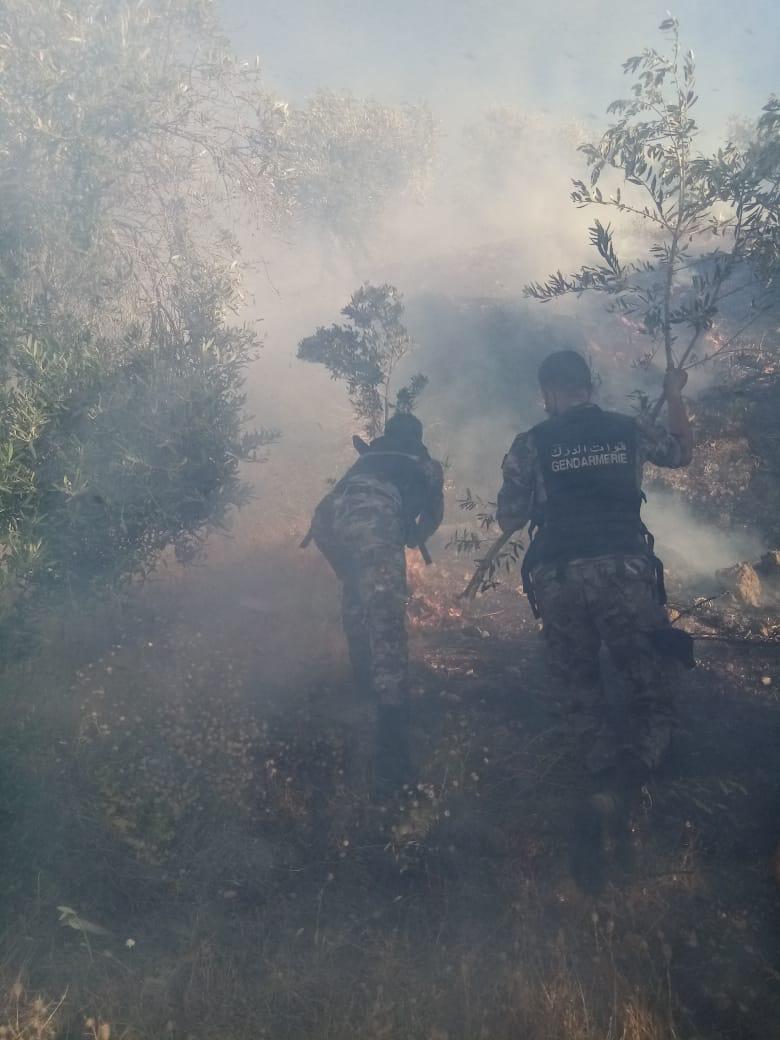 الدفاع المدني يخمد حريقا طال 1200 دونم من الأعشاب الجافة والاشجار والمحاصيل في  اربد.. صور