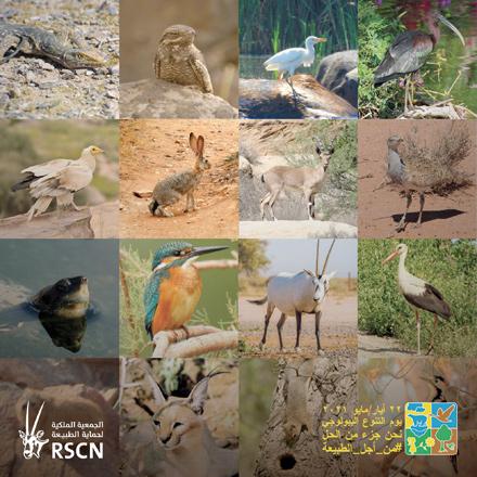 RSCN marks International Day for Biological Diversity