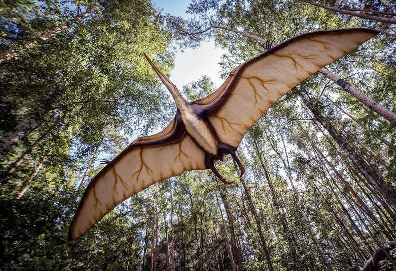 إلى أين وصلت فرضية طائر كبير هدى على الخط و قطع الكهرباء؟