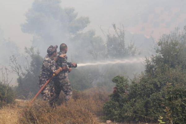 732 حريق اعشاب بالمملكة الخميس