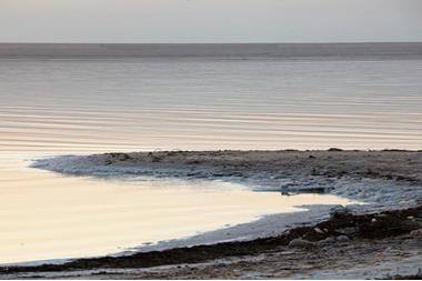 60 نسبة إشغال فنادق البحر الميت بعد إعلانها وجهة آمنة سياحيا