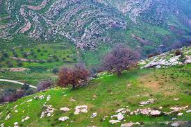 طقس معتدل اليوم السبت