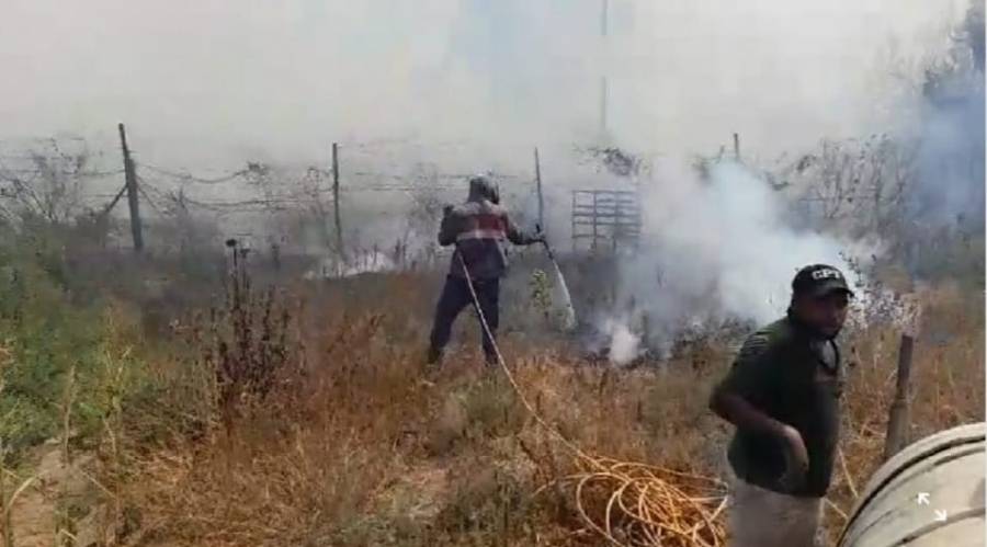 الدفاع المدني يحول دون امتداد حريق للأردن من فلسطين المحتلة