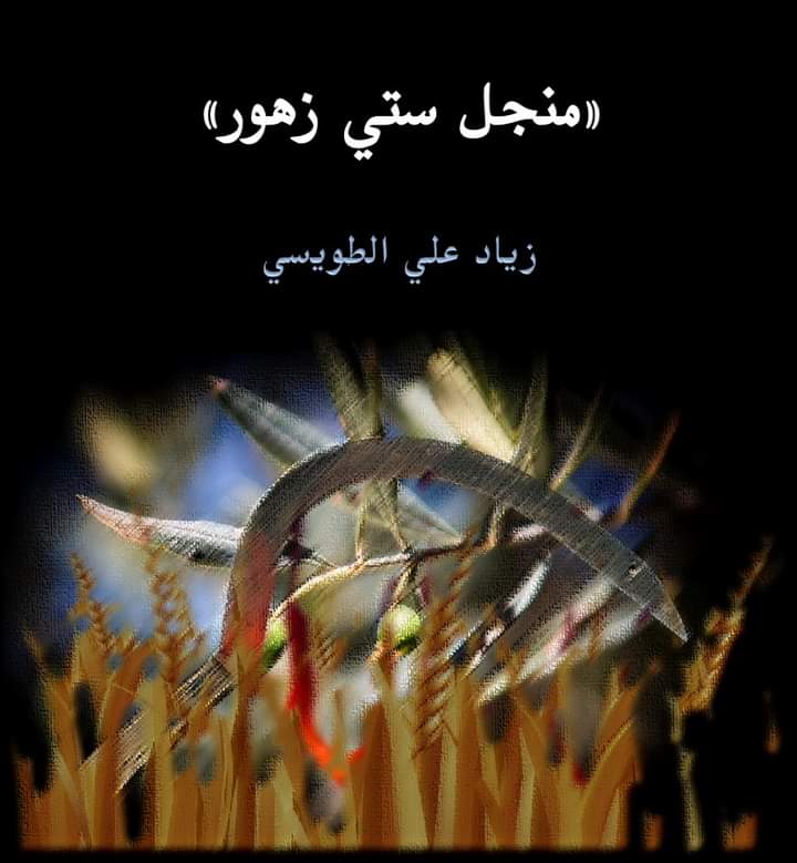 مجموعة قصصية للزميل الطويسي تصدر في مصر.