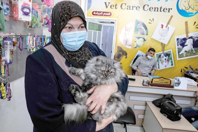 In Gaza, traumatised Palestinians tend to shellshocked pets