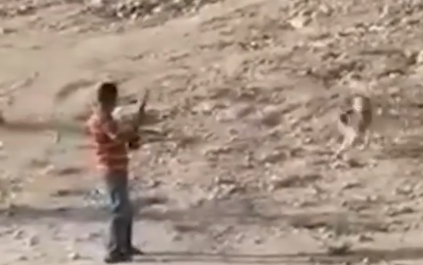 بلدية الزرقاء تُحيل موظفاً أطلق النار على كلب للتحقيق .. فيديو