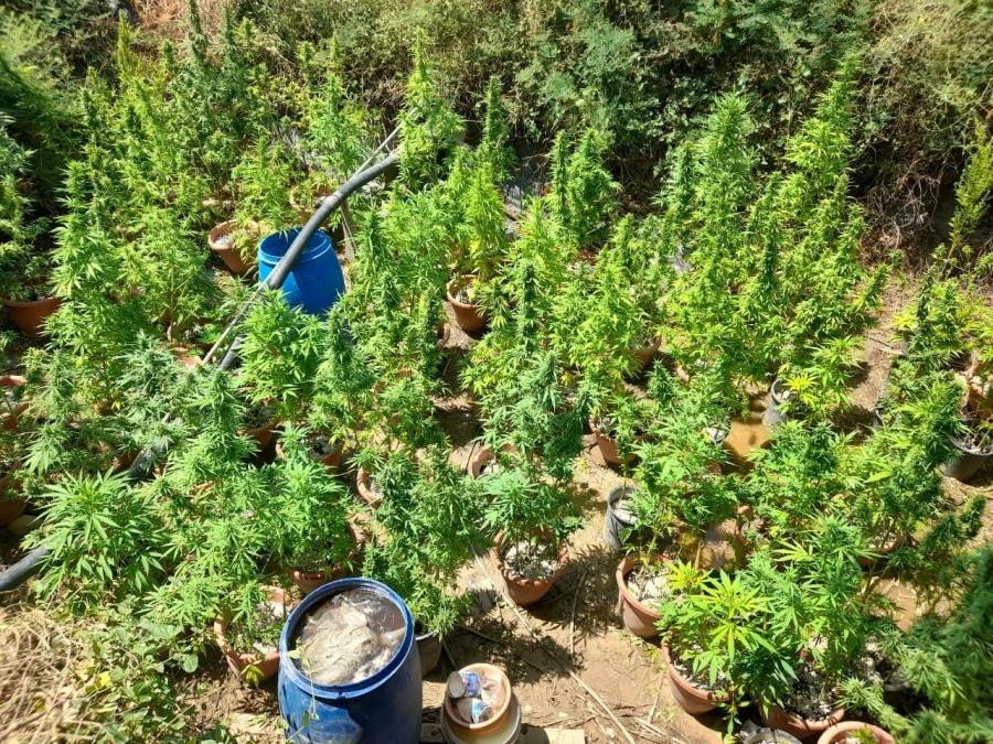 قوة أمنية تداهم وتلقي القبض على تاجر ومروج للمواد المخدرة غرب البلقاء