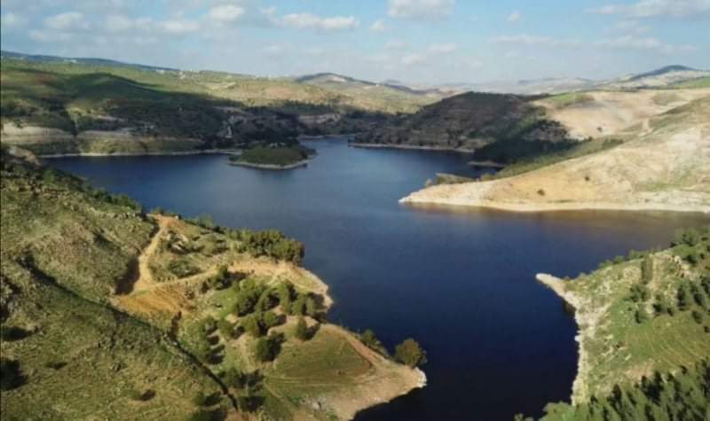 حملة لتنظيف مدخل بحيرة سد الملك طلال