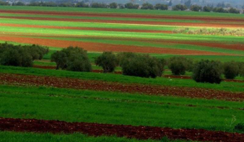 طقس معتدل بالمرتفعات والسهول ليوم الاحد