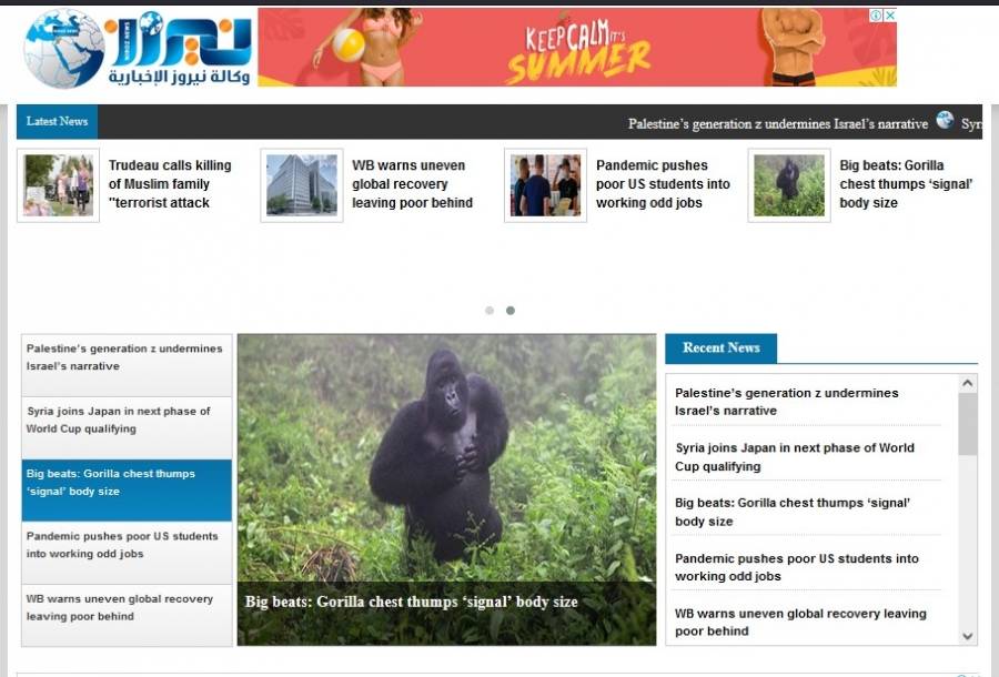 نيروز الانجليزي..... عام ثان من النجاح والتميز والمهنية العالية