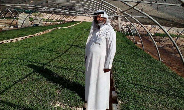 ٨٦ جمعية تعاونية في العقبة تعيل ١٤ ألف تعاوني وتسهم في الحد من الفقر والبطالة