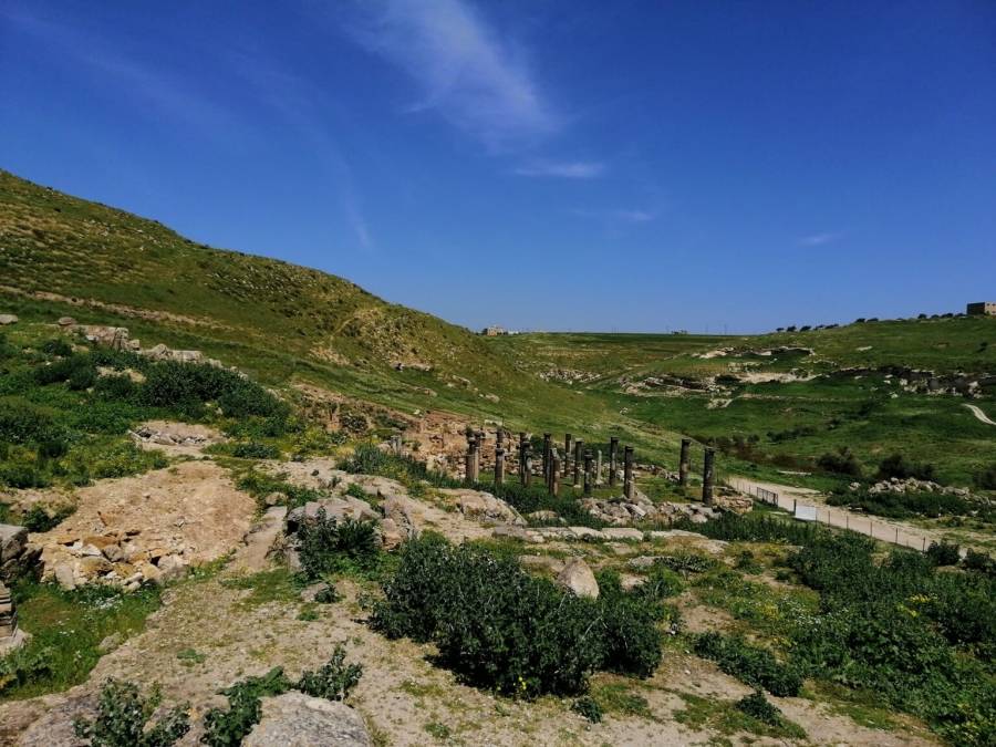 حالة الطقس اليوم : كتلة هوائية معتدلة الحرارة