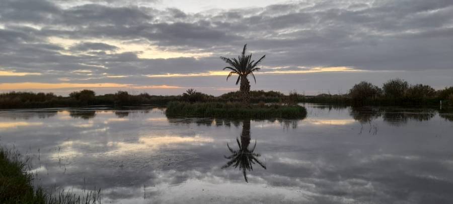 لعرض تجربتها الناجحة في حماية وتأهيل الموائل.. الأزرق المائية تقدم عرضاً في مؤتمر عالمي حول إعادة تأهيل الموائل