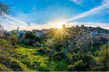 ارتفاع على الحرارة الأحد