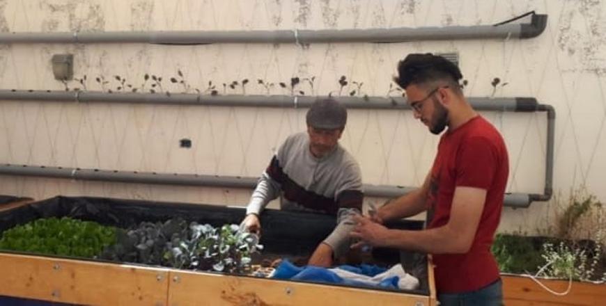 ‘Green Rooftops’ in Jerash Camp grows seeds of sustainable entrepreneurship