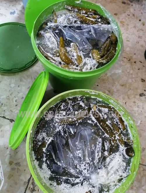 إتلاف 140 كيلو من المخلالات الغير صالحة للاستهلاك البشري في الرمثا