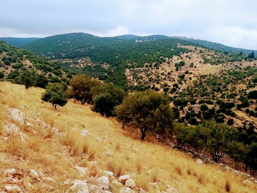 الثلاثاء .. طقس صيفي معتدل