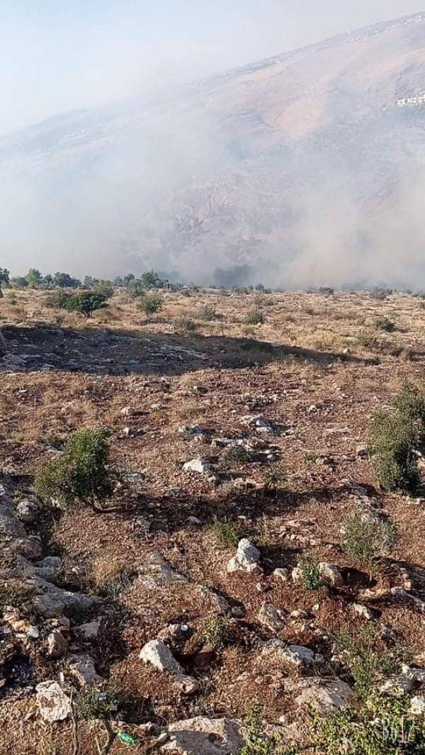 حريق أعشاب بمساحة 100 دونم في عجلون