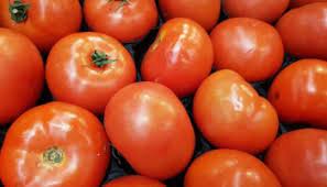 الزراعة: بدء تعافي صادرات الخضار والفواكه في الأردن