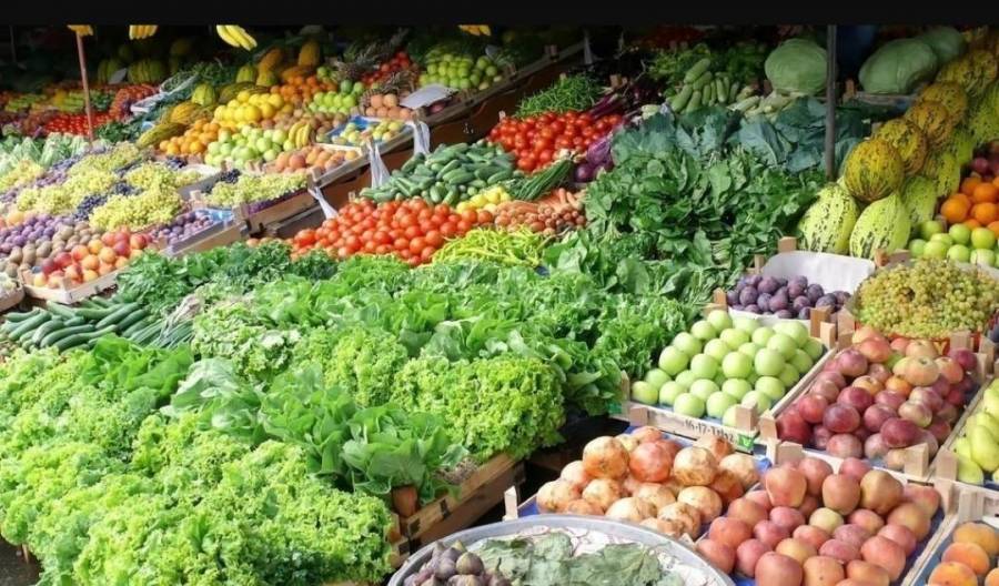 الحنيفات : ارتفاع  كمية الصادرات من  الخضار  والفواكة