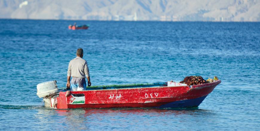 Divers comb Aqaba waters after reported shark attack