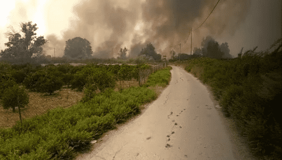 حنيفات: التعويضات من إسرائيل حسب الاتفاقيات الدولية