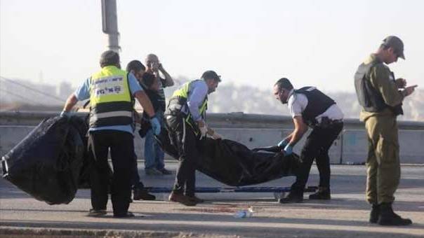 طعن جندية صهيونية بوادي الأردن