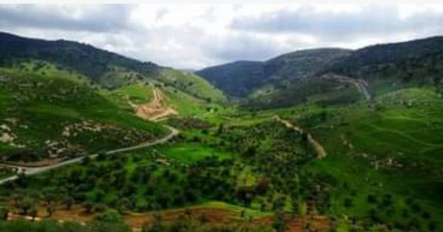 استحداث شارع في منطقة أوصرة بمحافظة عجلون