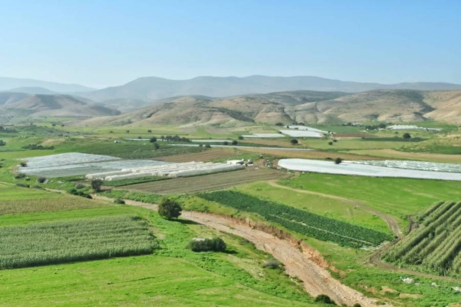 زراعة الأغوار الشمالية تدعو لتنظيم عمليات الري لمواجهة آثار موجة الحر