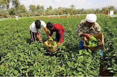 إيقاف الاقتطاعات الشهرية عن مزارعين لشهر تموز الحالي