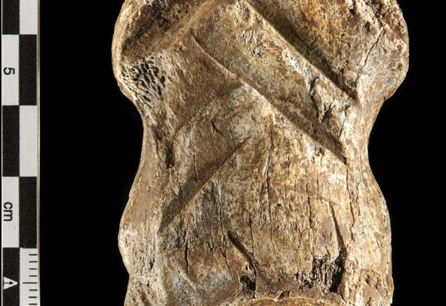 Ancient bone carving could change the way we think about Neanderthals