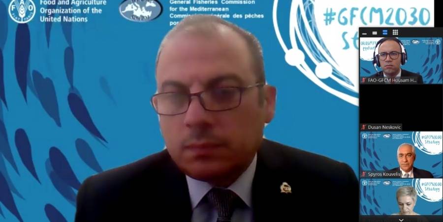 الاردن يشارك في اجتماع أممي حول تربية الأسماك والصيد البحري